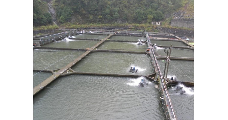 水質監測對水產養殖的重要性