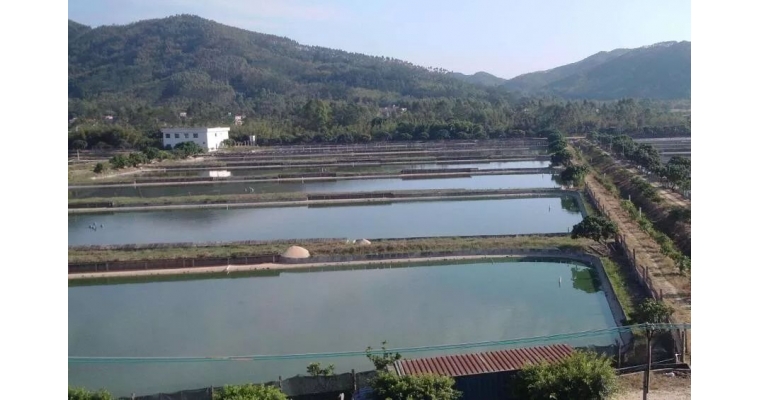 現在水產養殖動物種類越來越多，對于水質的要求也各有不同